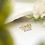 گل گوش فانتزی
