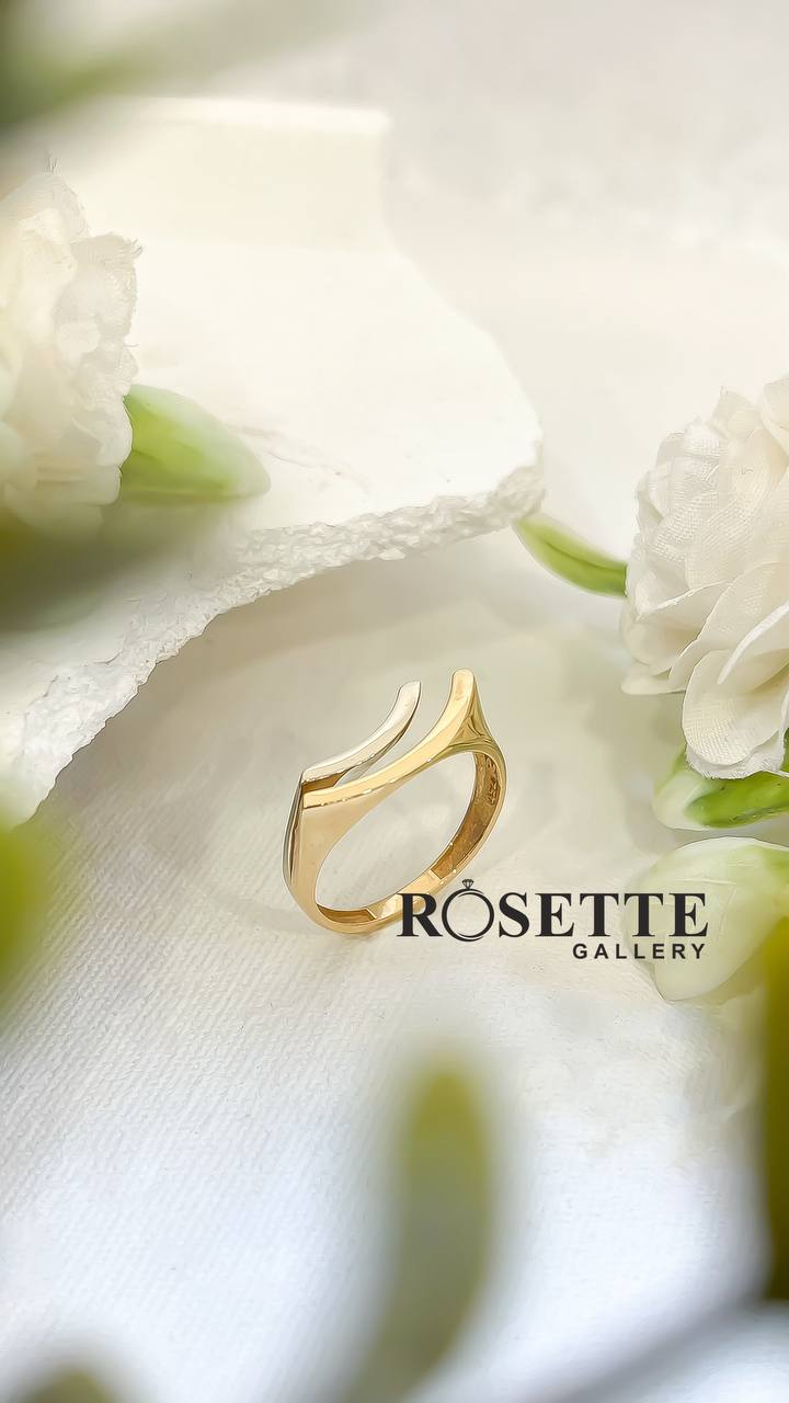 Rosette Gallery (10)